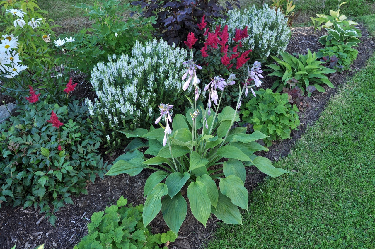 20100803-0065